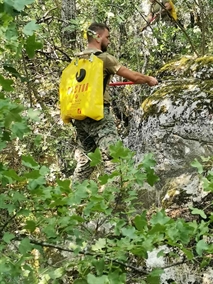 Picture 5